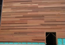 Eco School